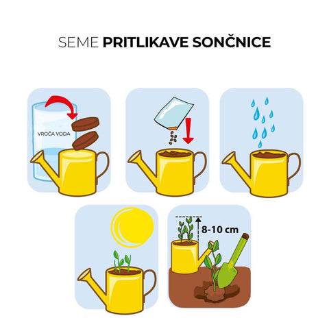 SET - Mini kantica sa sjemenkama organskog suncokreta